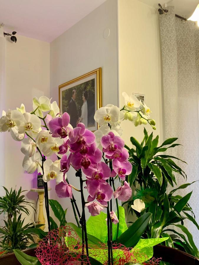 B&B Mariele Baronissi Ngoại thất bức ảnh
